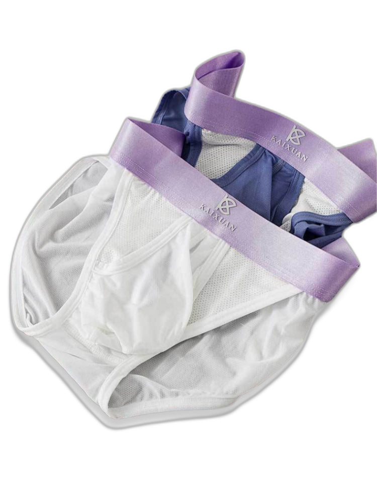 3 Pack Men's Ice Silk Breathable Mesh Low-Rise Classic Briefs