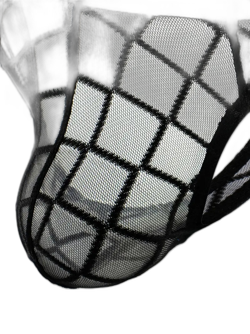 3 Pack Men's Low-Rise Lace Sexy Mesh Briefs And Thongs