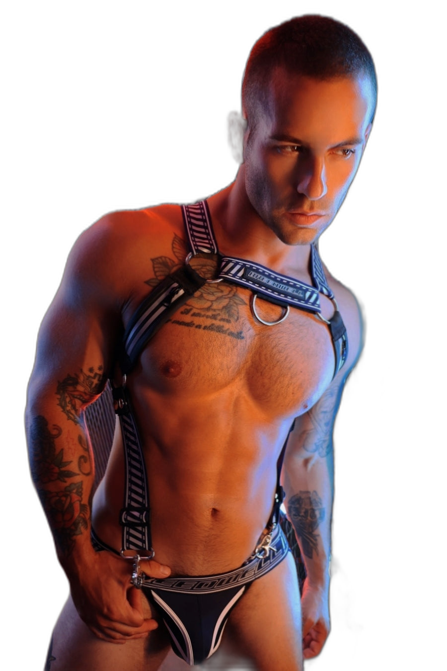 Breedwell Gymnetixxx Body Harness Navy