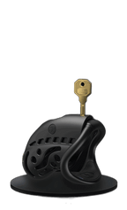 Remote Control Shock Chastity Cage