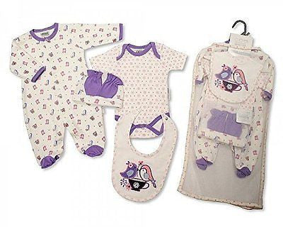 Brand New Baby Girl Jersey Cotton 5 Piece Clothing Gift Set Sleepsuit, Vest, Bib