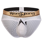 Mens Sexy Mesh Breathable U Convex Pouch Briefs