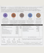 Phyto Nectars: I Am Focused