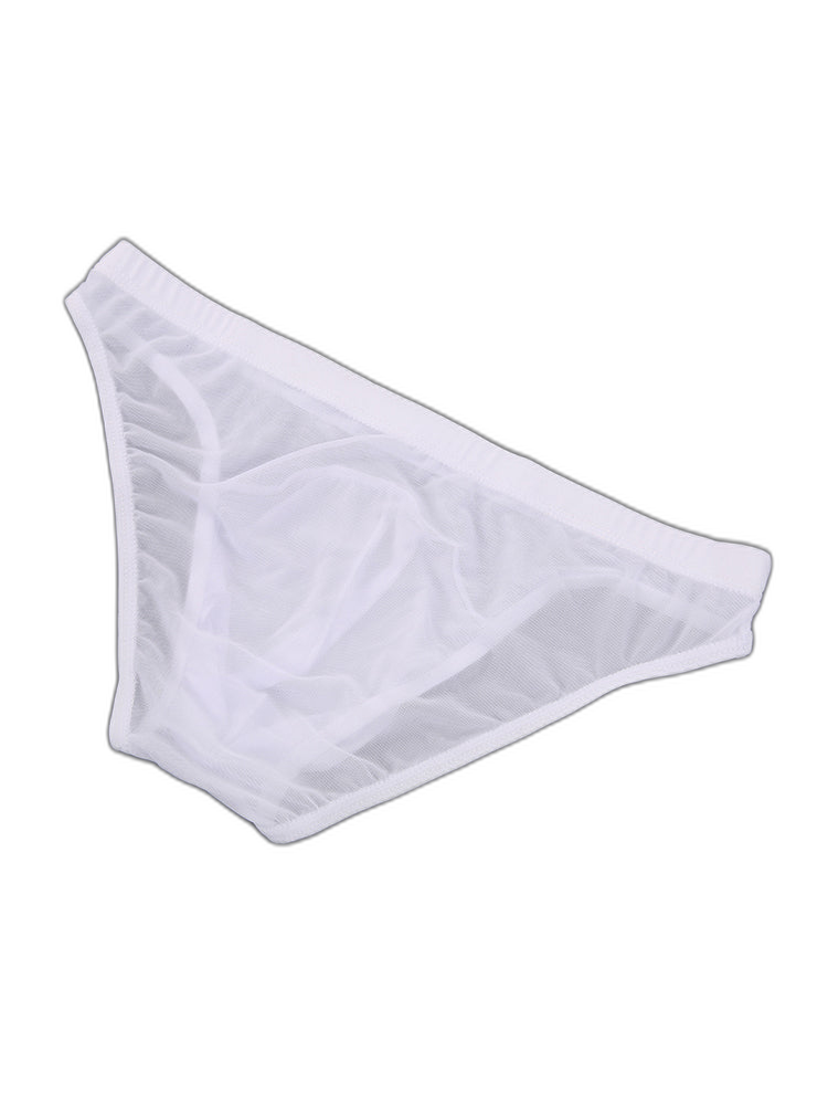 2 Pack Men's Seductive Mesh Sheer Briefs