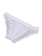 2 Pack Men's Seductive Mesh Sheer Briefs