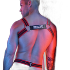 Breedwell Daddys Favourite Bulldog Harness Red