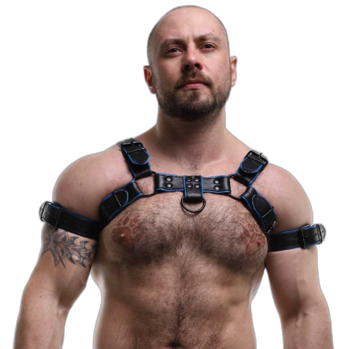 ruff GEAR Double Tone Leather Bulldog Harness Blue Black