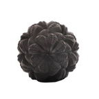 Paul - Tentacle Texture Butt Plug