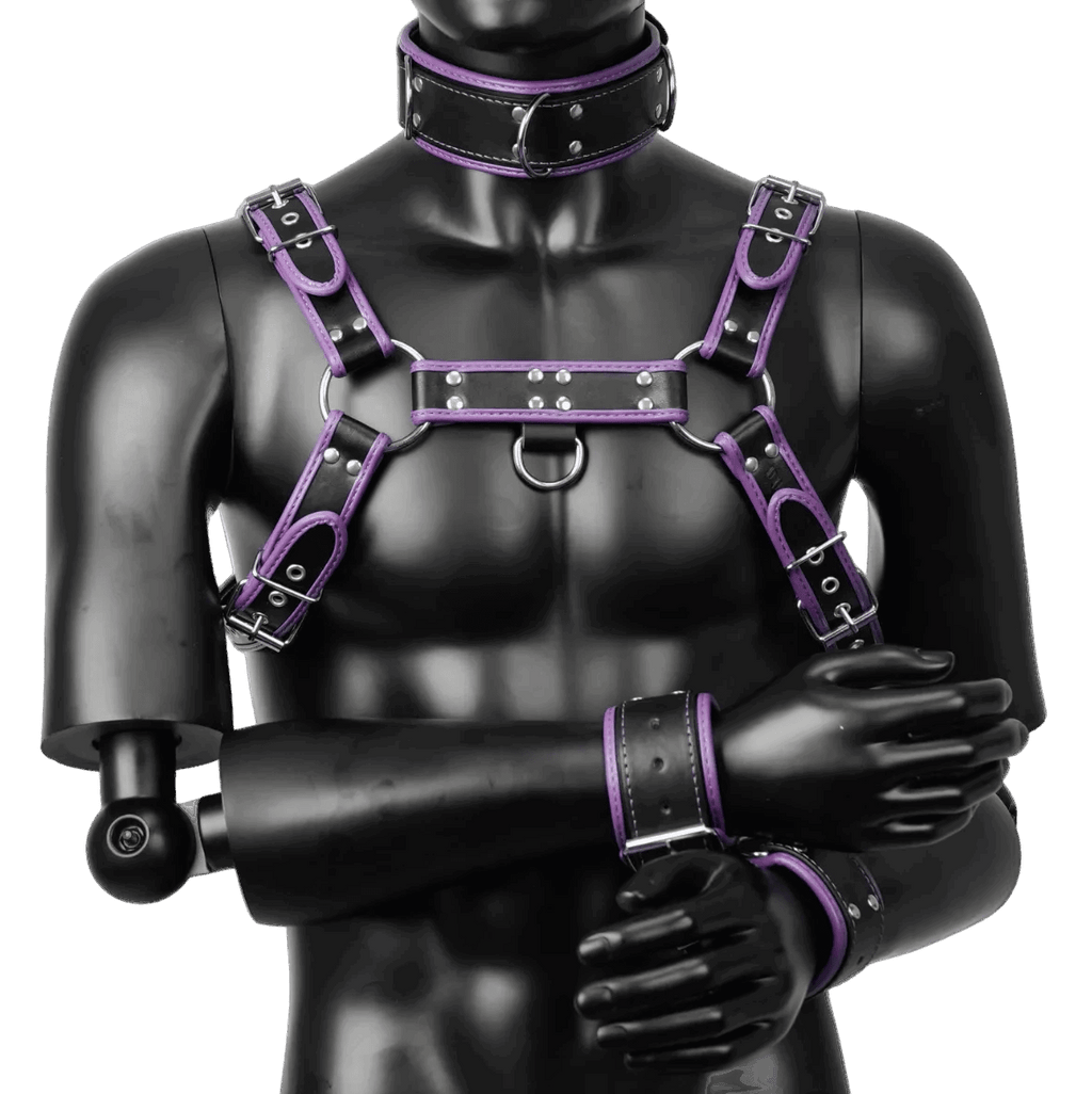 Harness, Cuff, Collar Bundle Purple
