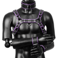 Harness, Cuff, Collar Bundle Purple