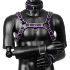 Harness, Cuff, Collar Bundle Purple