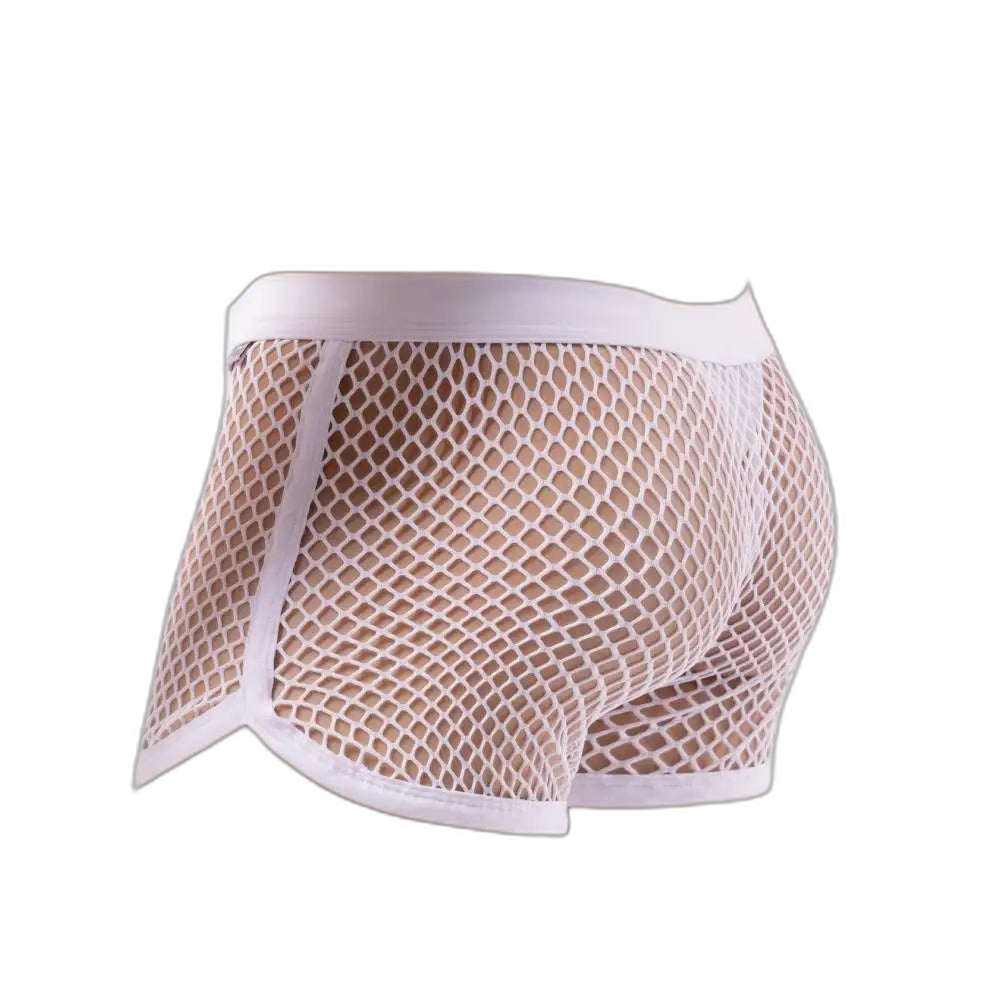 AllureFit Sexy Mesh Boxers Briefs