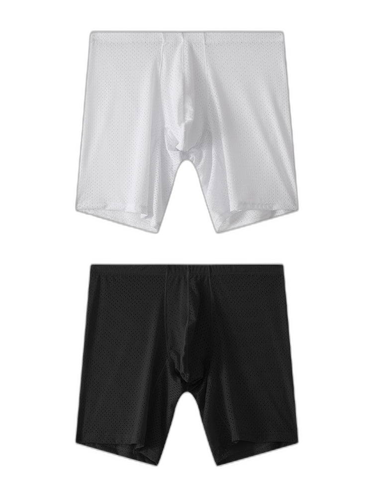 2 Pack Men's Mesh Transparent Sports Fitness Loose Boxer Briefs