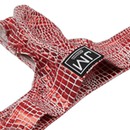 Jockmail Snakeskin Thong