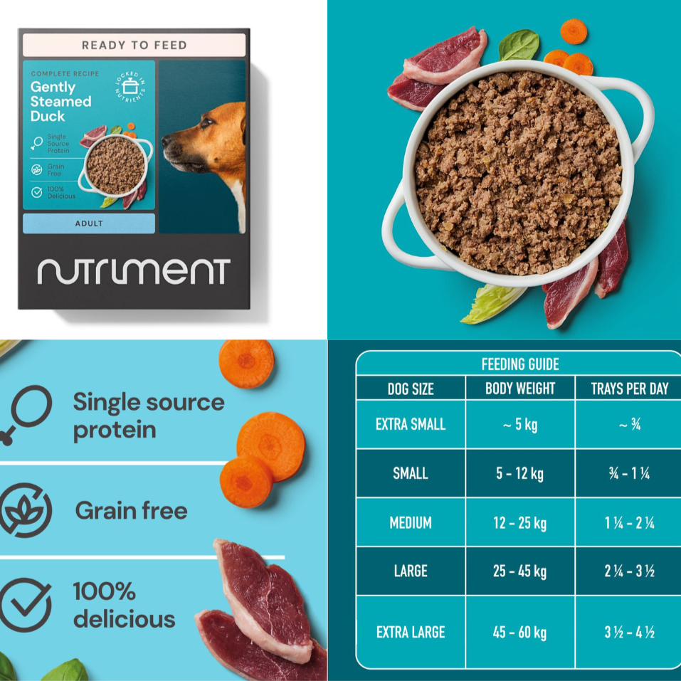 Nutriment Gently Steamed Complete Dog Food – Ambient Raw-Inspired Meals