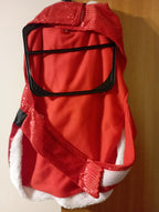 DOG FUN Santa Christmas Dress up costume