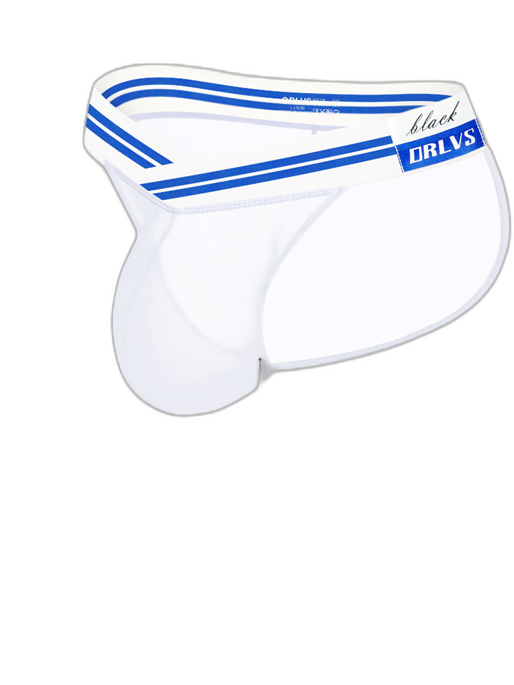 2-pack Men's Sexy Semi-transparent Mesh Briefs