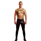 Fusion Shoulder Strap Metallic Buckle Harness
