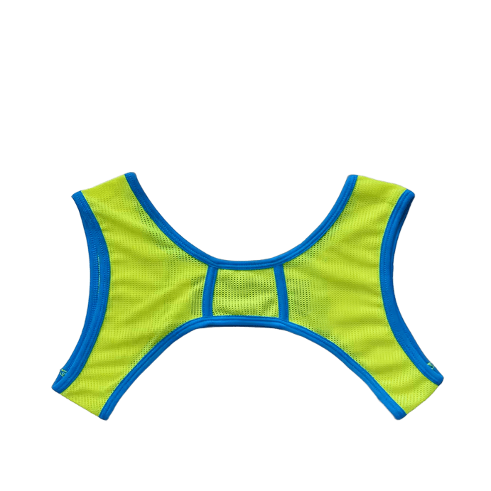 Dog & Master Mesh Harness Green/Blue