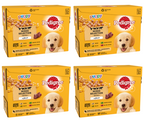 4 x Pedigree Puppy Pouches Mixed Varieties In Jelly 12 X100G