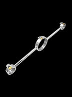 Stainless Steel Integrated Hand-and-Neck Restraints with Recessed Padlocks
