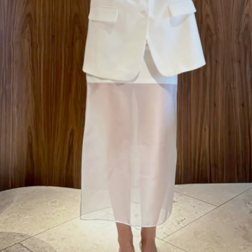 Designer-style Sheer High-waist Skirt For Women
