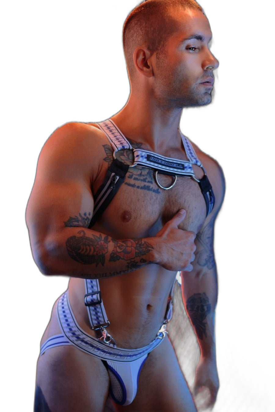 Breedwell Gymnetixxx Body Harness White