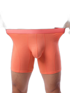 2 Pack Men’s Casual Ice Silk Midway Briefs
