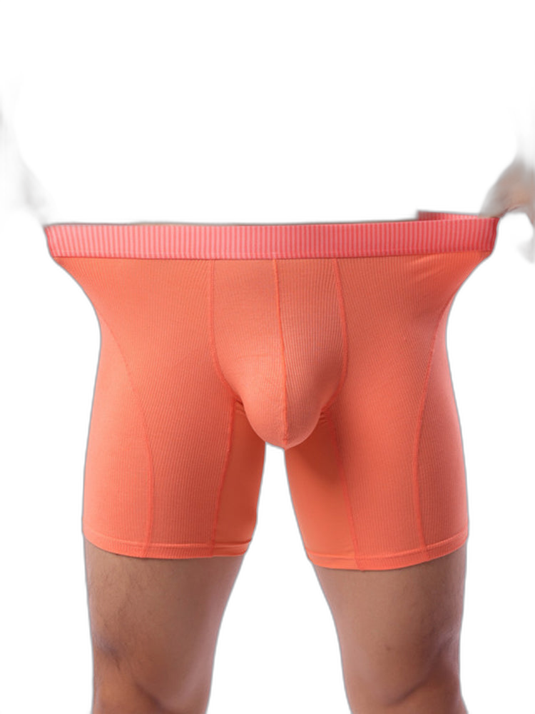 2 Pack Men’s Casual Ice Silk Midway Briefs