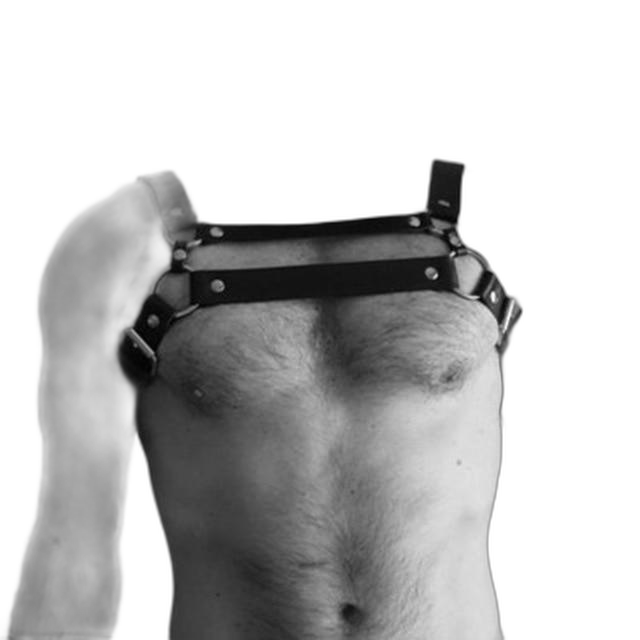 Dual Strap Leather Harness