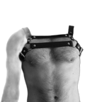 Dual Strap Leather Harness