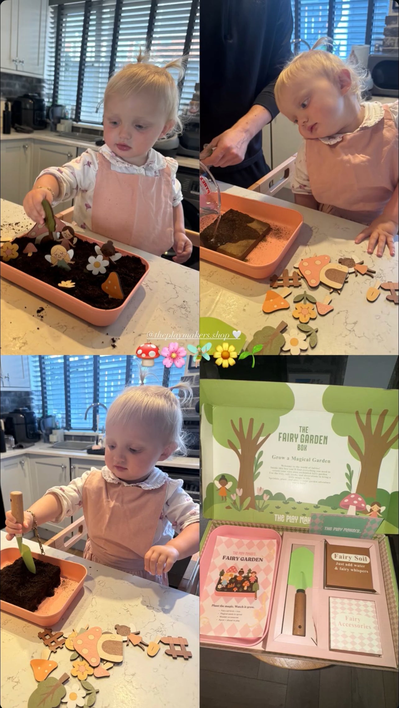 Fairy Garden Starter Kit (Apron,Tray, Shovel, Fairies, Soil & Seeds)