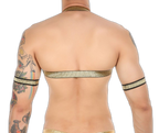 Gold Glitter Harness