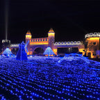 Christmas Decoration Lights Decorating The House