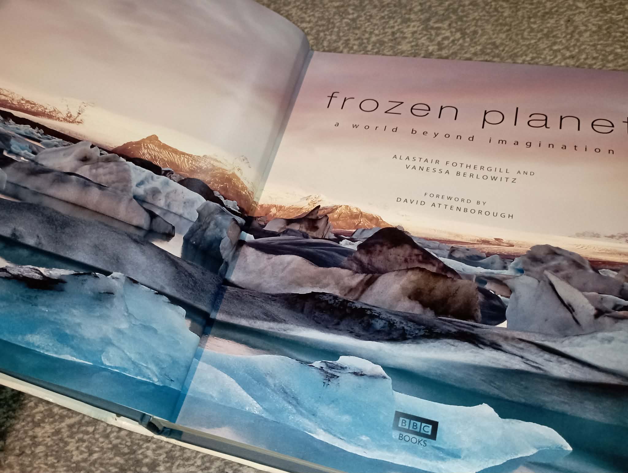 BOOK : FROZEN PLANET (ripped cover)