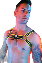Breedwell Daddys Favourite Bulldog Harness Yellow