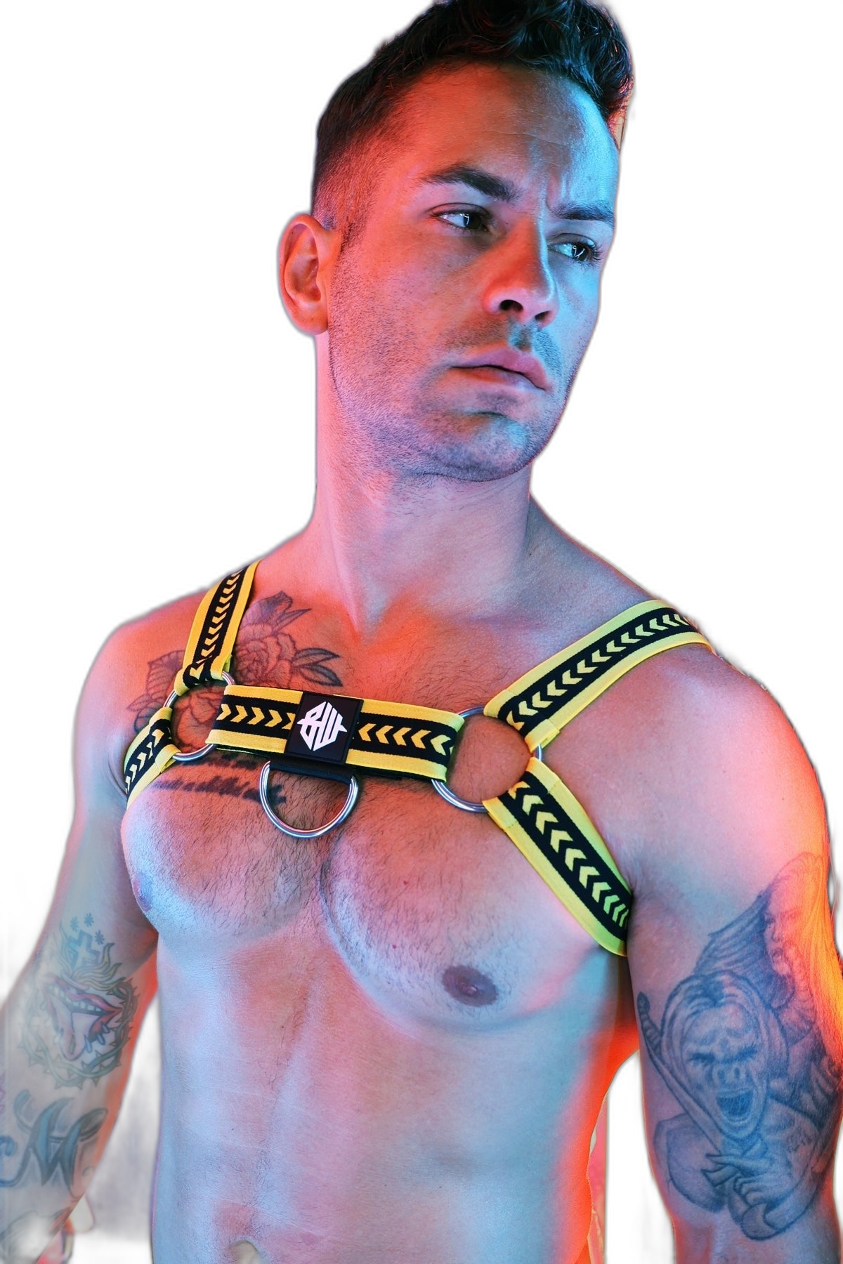 Breedwell Daddys Favourite Bulldog Harness Yellow