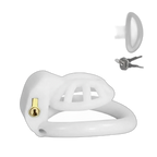 PushTech Chastity Cage With 4 Ring Sizes