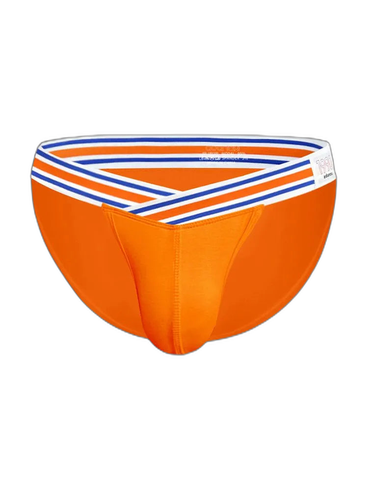 2-pack Striped V-waist High-cut Briefs