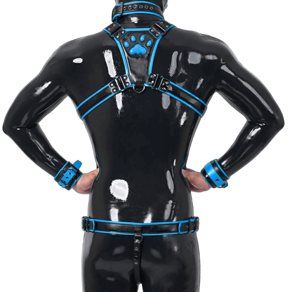 Furrjoi Harness, Cuff, Collar, Lead Underwear Bundle Blue