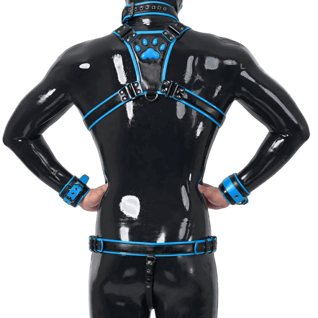 Furrjoi Harness, Cuff, Collar, Lead Underwear Bundle Blue