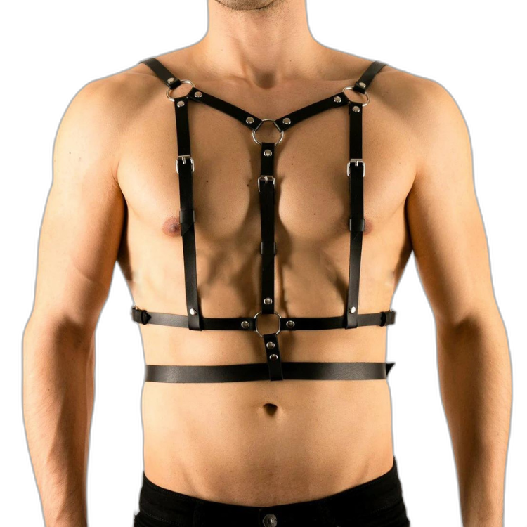 Buckle Up Buddy Black Harness