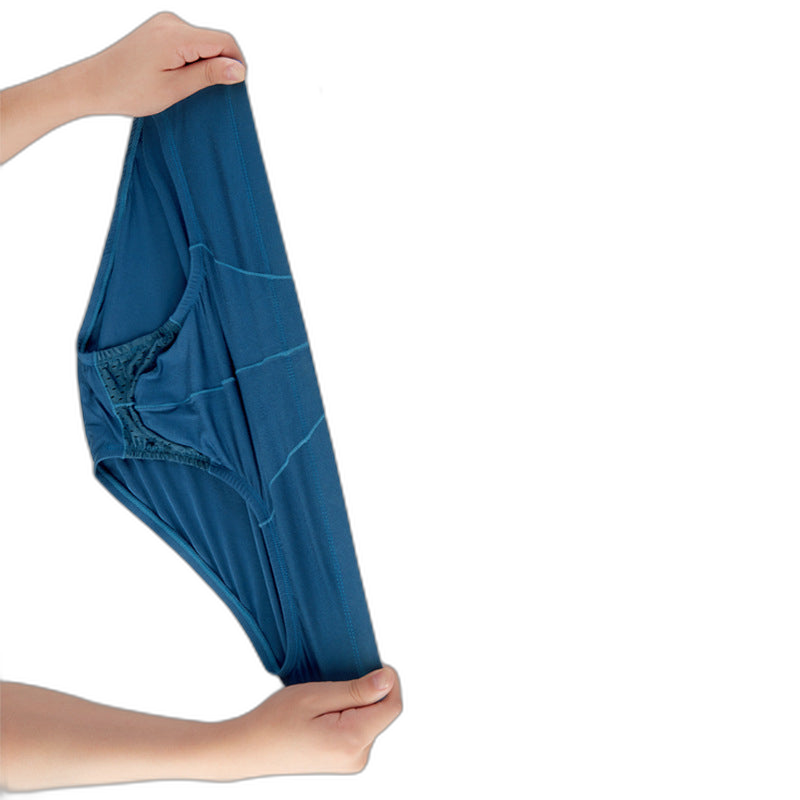 Mens Modal Ball Pouch Breathable Briefs