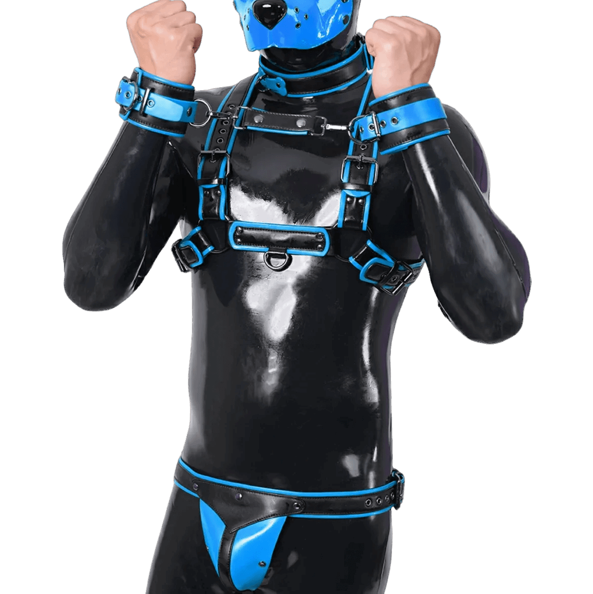 Furrjoi Harness, Cuff, Collar, Lead Underwear Bundle Blue