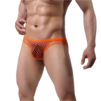 Mesh Fishnet Briefs