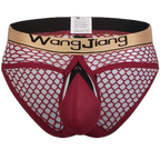 Mens Sexy Mesh Breathable U Convex Pouch Briefs