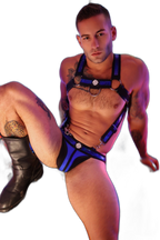 Breedwell Illuminator Body Harness Blue Holo