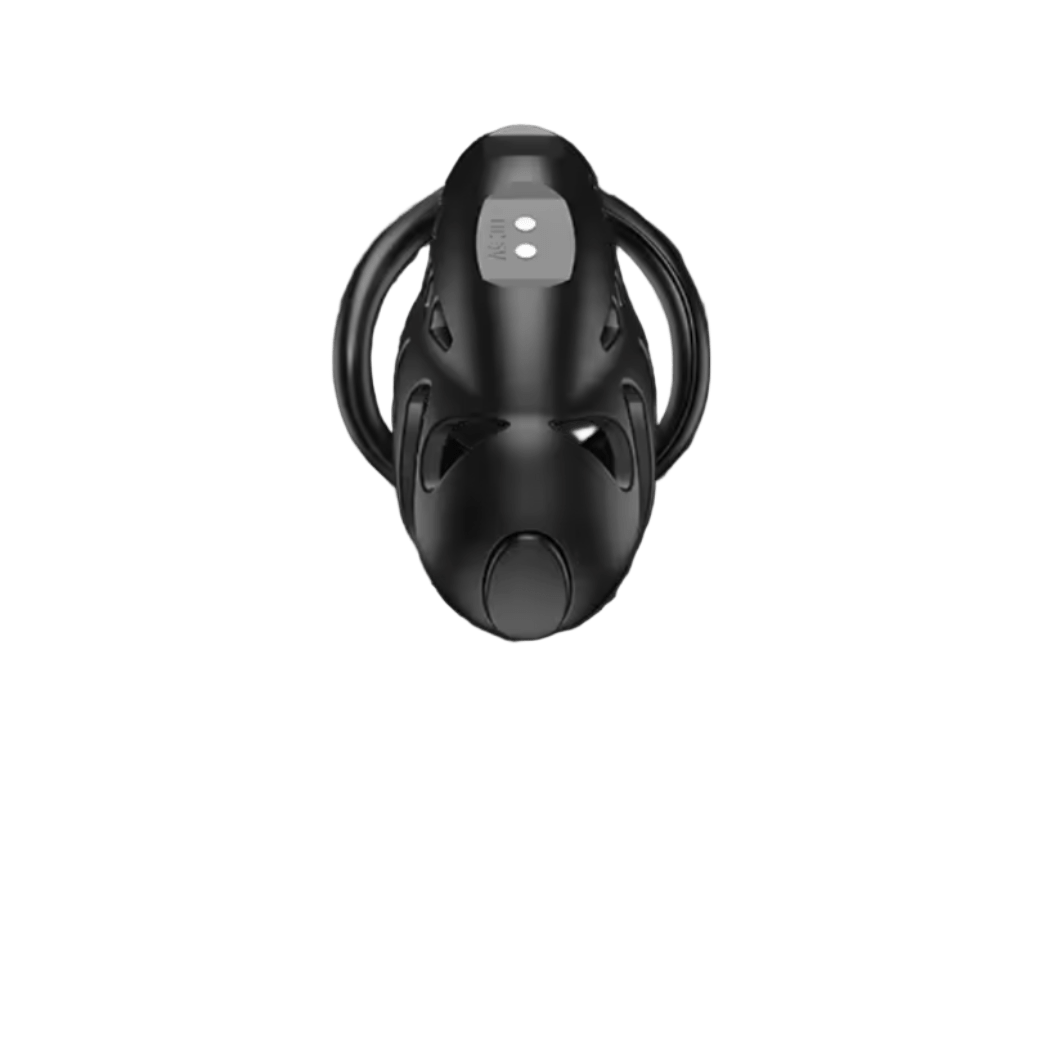 Remote Control Shock Chastity Cage