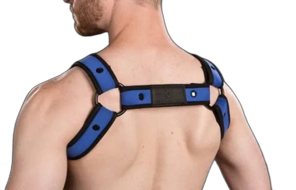 Mr S Leather Neoprene Bulldog Harness | Blue