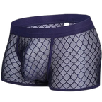 Transparent Mesh Boxers